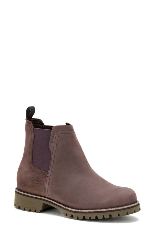 Chaco Fields Waterproof Chelsea Boot in Chocolate Merlot 