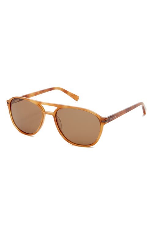 Ted Baker London 57mm Polarized Aviator Sunglasses In Honey