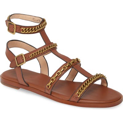 Coach Haddie Gladiator Sandal, Brown