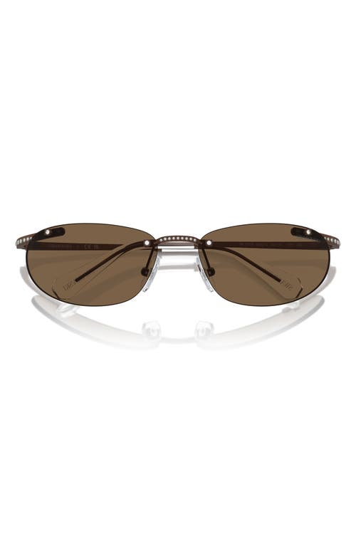 Shop Swarovski 59mm Oval Sunglasses In Matte Brown