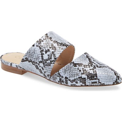 Coconuts By Matisse Shay Mule, Blue