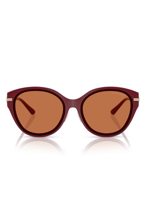 Michael Kors 59mm Round Sunglasses In Dark Red