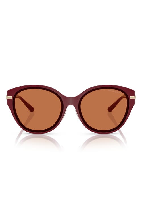 Michael Kors 59mm Round Sunglasses In Dark Red