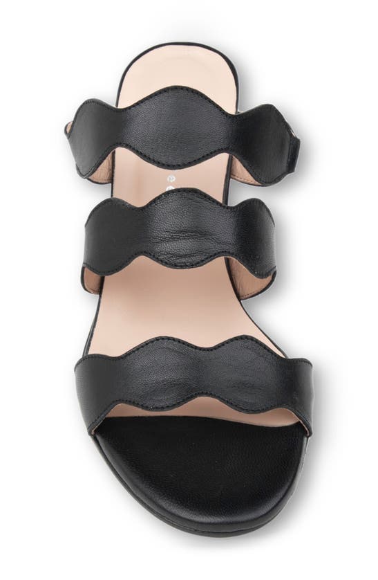 Patricia Green Sophia Slide Sandal In Black