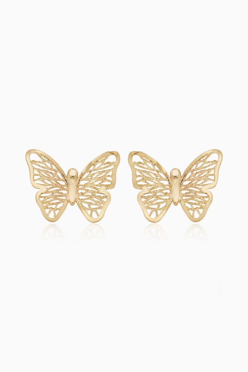 Shop Oradina 14k Yellow Gold Social Butterfly Studs