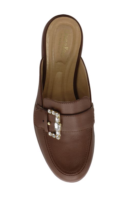 Shop Charles By Charles David Babs Loafer Mule In Dark Brown