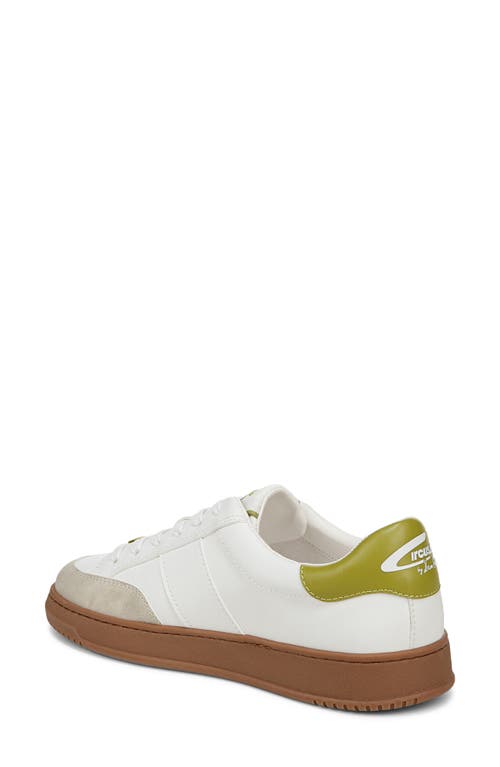 Shop Circus Ny By Sam Edelman Vance Sneaker In Bright White/cactus