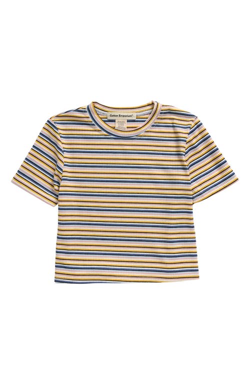 Cotton Emporium Kids' Meet & Greet Stripe Rib T-Shirt in Blue Multi Stripe 