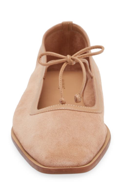 Kaanas Ballet Flat In Blush