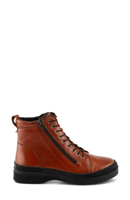 Shop Spring Step Hoylein Combat Boot In Cognac