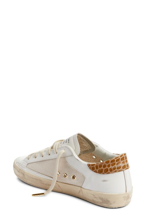 Shop Golden Goose Super-star Low Top Sneaker In White/grey