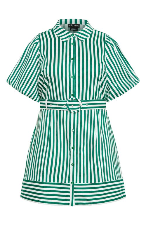 Shop City Chic May Stripe Stretch Poplin Shirtdress In Green Stripe