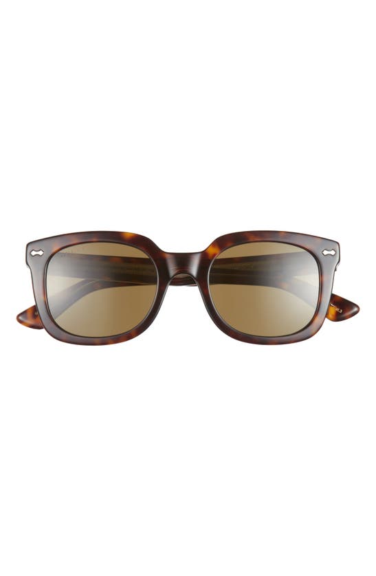 Gucci 50mm Square Sunglasses In Havana Havana Green
