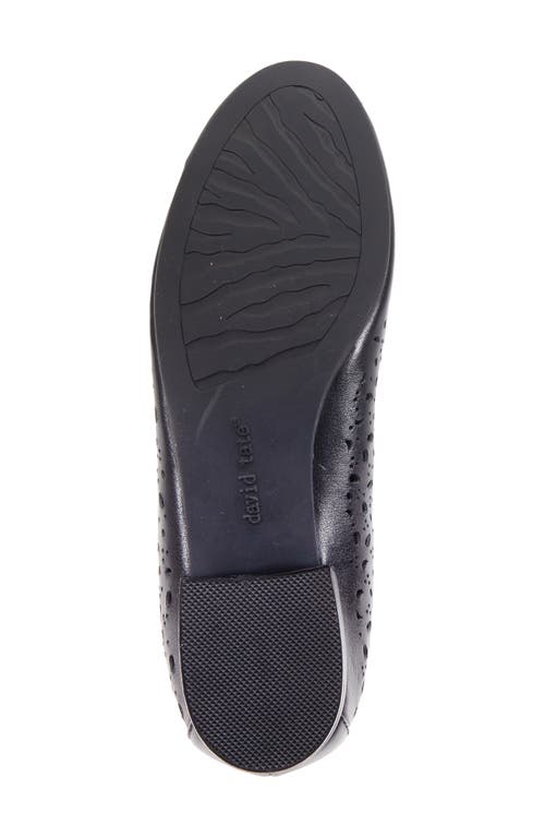 David Tate Laser Cut Ballet Flat In Black Calf