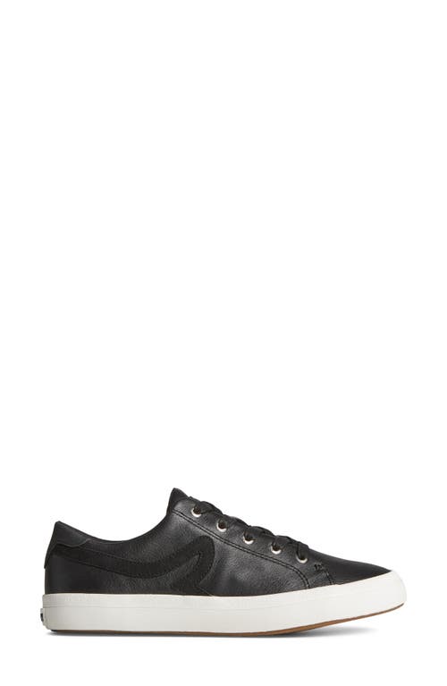 Sperry Sandy Wave Sneaker In Black