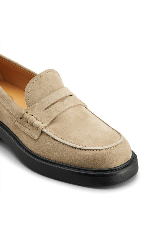 Tod's Gomma Suede Penny Loafers In Tabacco Chiaro