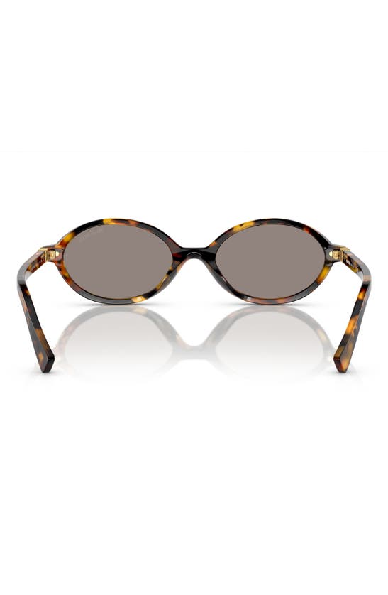 Miu Miu Regard Round-frame Tortoiseshell Acetate Glasses In Grey Mirror