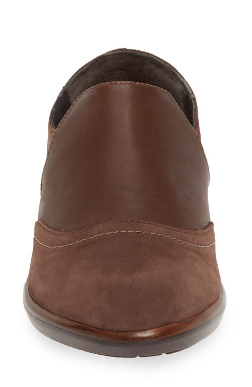 Shop Naot Angin Loafer In Coffee Bean/toffee Leather