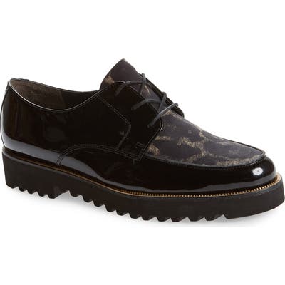 Paul Green Bilbao Leopard Print Platform Oxford - Black