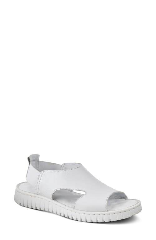 Shop Spring Step Abadessa Slingback Sandal In White