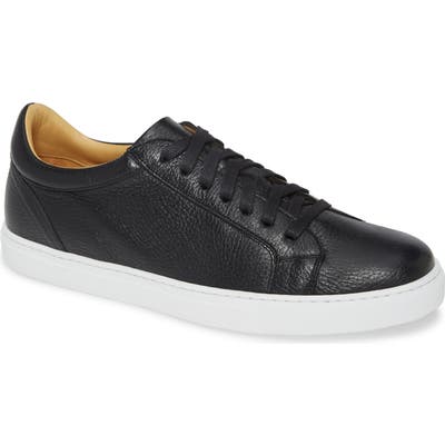 Mezlan Camron Sneaker, Black