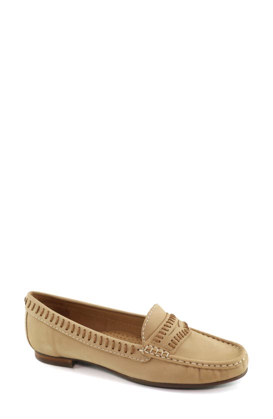 Driver Club Usa Maple Ave Penny Loafer In Sand Nubuck/ Contrast Stitch