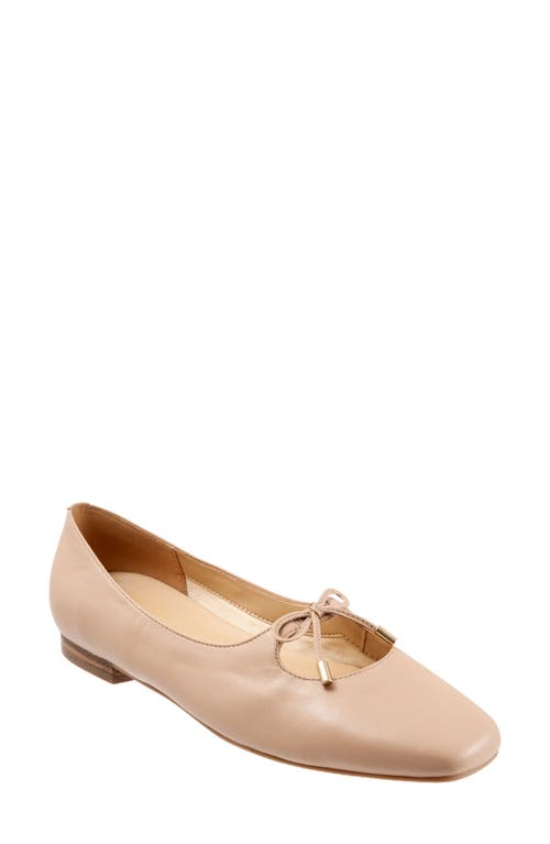 Trotters Honesty Flat Nude at Nordstrom,