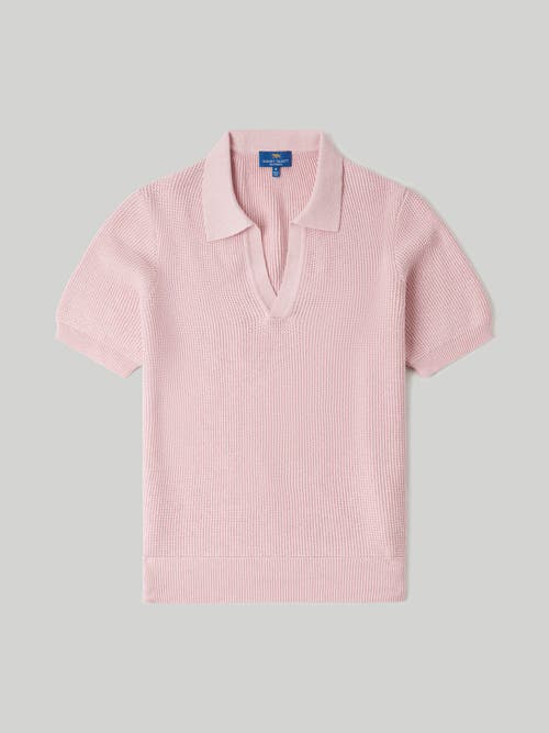 Shop Robert Talbott Knight Short Sleeve Johnny Collar Sweater In Pink