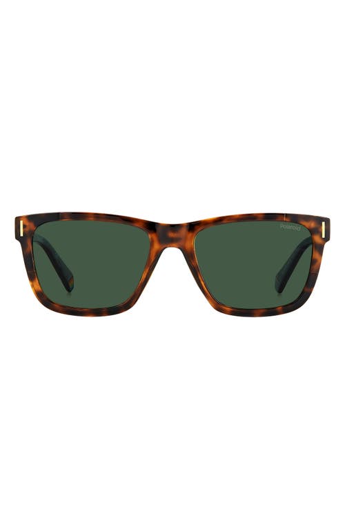 Polaroid 54mm Polarized Square Sunglasse In Havana/green Polar