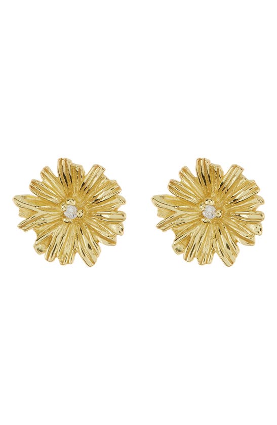 Argento Vivo Sterling Silver Cubic Zirconia Flower Stud Earrings In Gold