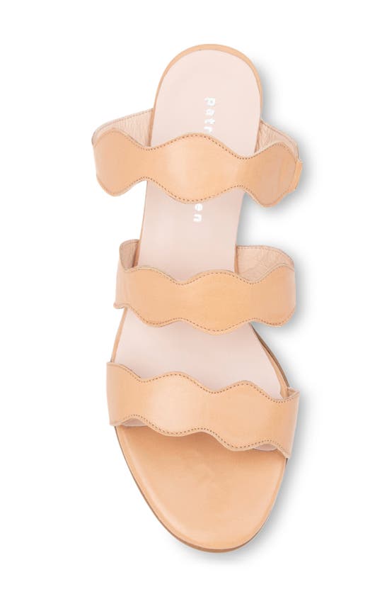 Shop Patricia Green Sophia Slide Sandal In Beige