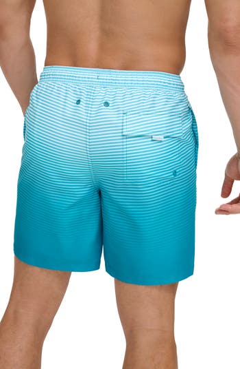 Core 2024 swimming shorts