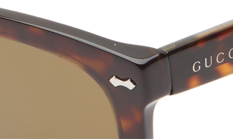 Gucci 50mm Square Sunglasses In Havana Havana Green