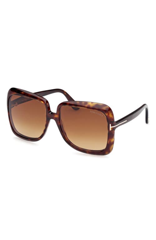 Shop Tom Ford Lorelai 59mm Square Sunglasses In Shiny Dark Havana/brown