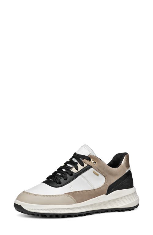 Shop Geox Pg1x Abx Waterproof Sneaker In White/light Taupe