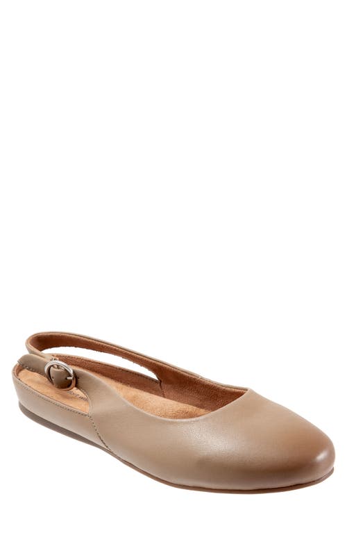 SoftWalk Sandy Slingback Flat Sandal in Taupe Leather