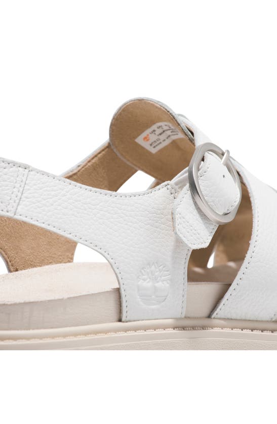 Shop Timberland Clairemont Way Fisherman Sandal In White Full Grain