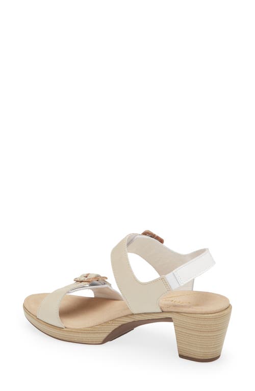 Shop Naot Mode Sandal In White/soft Ivory/latte