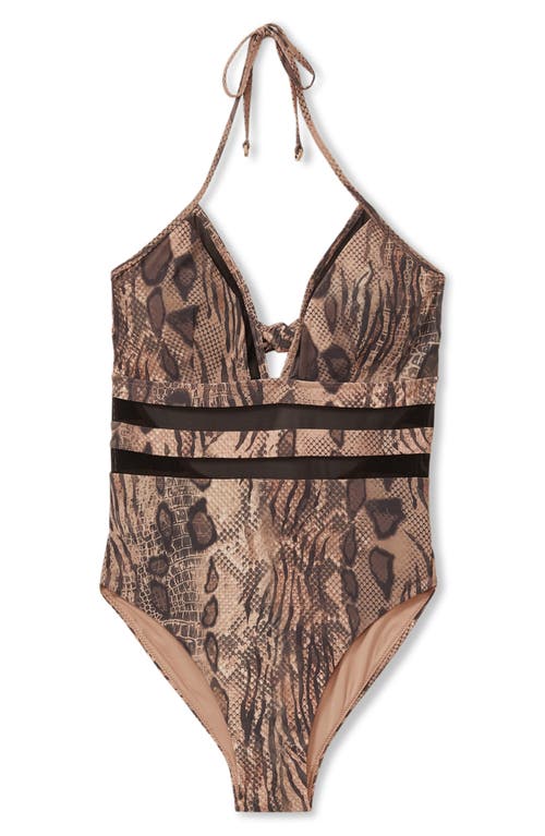 Shop Reiss Harper Sheer Panel One-piece Swimsuit In Mink