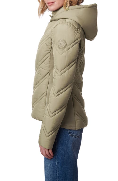 Shop Bernardo Hooded Puffer Jacket With Bib In Sage