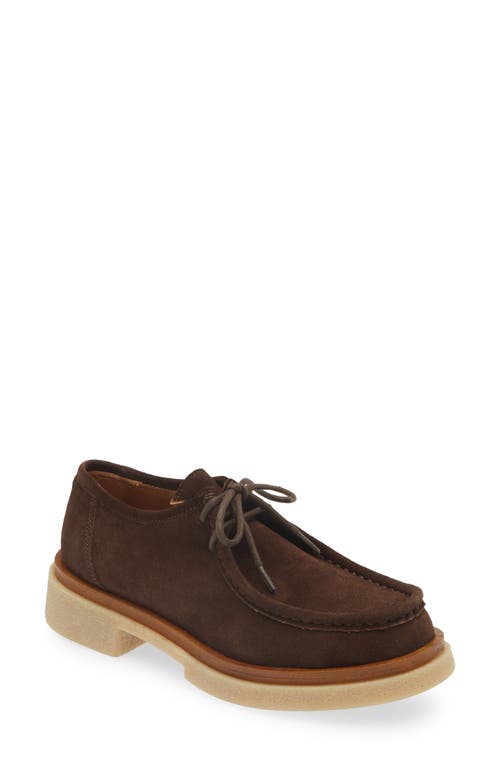 Cordani Maya Loafer In Brown Suede In Camoscio