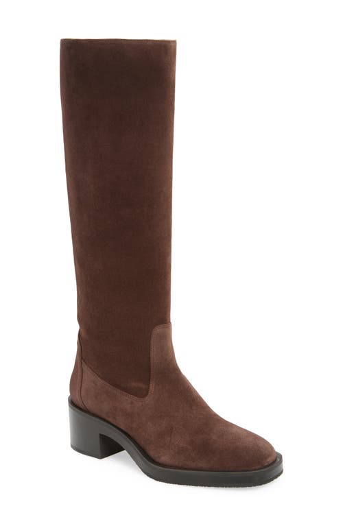 Shop Stuart Weitzman Kaia Knee High Boot In Hickory Sport Suede