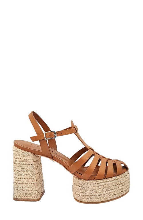 Dee Ocleppo Women's Tulum High Heel Platform Espadrille Fisherman Sandals In Biscotti