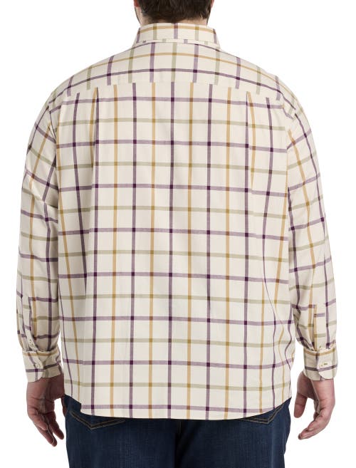 Untuckit Fit By Dxl Untuckit Olson Plaid Sport Shirt In Cream
