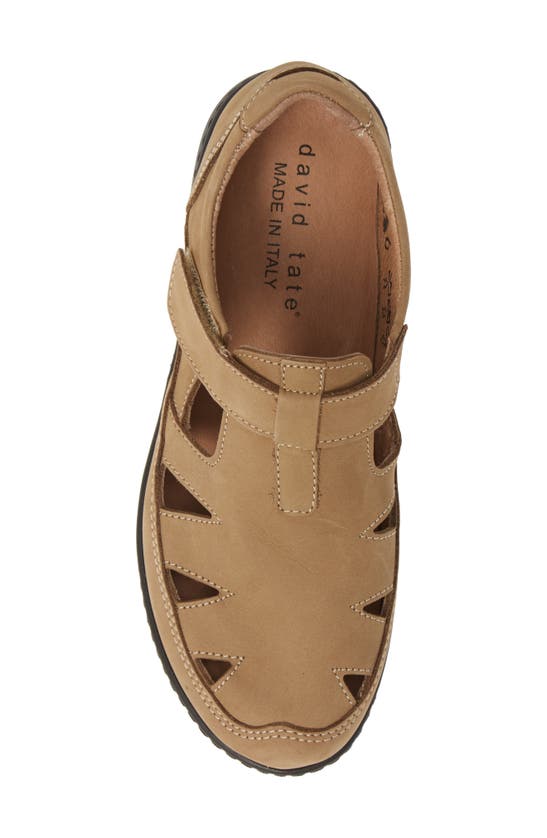 David Tate Catania Walking Sandal In Beige Nubuck Leather