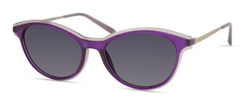 Modo 706 Sunglasses In Purple