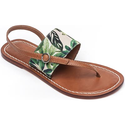 Bernardo Footwear Meg Thong Sandal- Brown