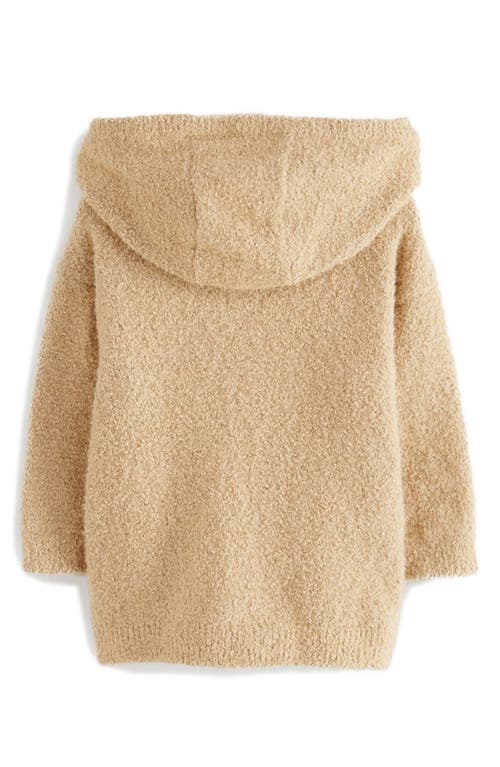 Next Kids' Teddy Bear Appliqué Sweater Hoodie In Brown