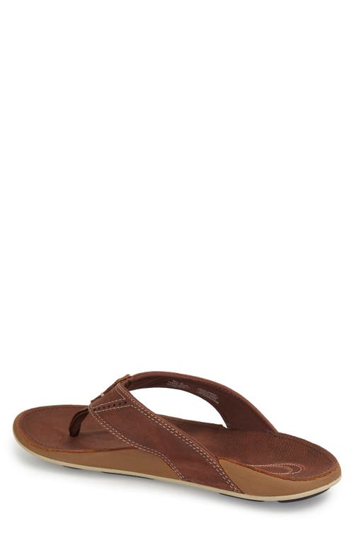 Shop Olukai 'nui' Leather Flip Flop In Rum/rum