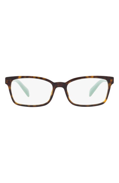 EAN 8053672739725 product image for Prada 53mm Square Optical Glasses in Havana/Mint at Nordstrom | upcitemdb.com